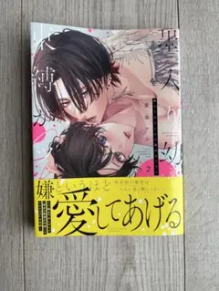 splashさま　専用