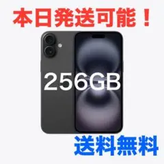 【最終値下げ】iPhone 16 256GB ブラック