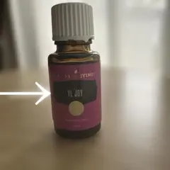 2025年最新】ワイエルジョイの人気アイテム - メルカリ