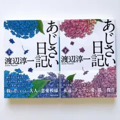 あじさい日記 上下巻セット 渡辺淳一 講談社文庫