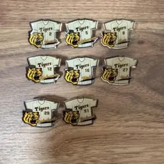 阪神タイガース 2005 優勝記念 ピンバッジ 2個セット - メルカリ