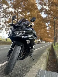 2026年最新】zx25r 車体の人気アイテム - メルカリ