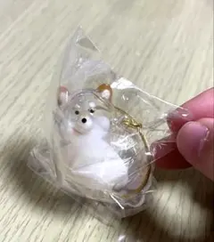 うちの子のけだまだま 犬 柴犬