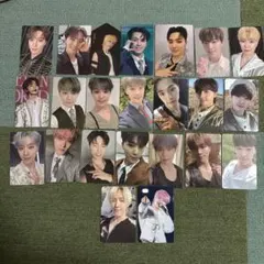 ディノ　トレカ