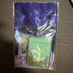 ディズニーストア ティンカーベル ミラー&ポーチセット