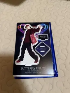 世界 アクスタ BUTTERFLY EFFECT