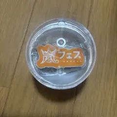 り*え様 嵐 会場限定 ガチャ 歴代ツアー ロゴマグネット 嵐フェス アラフェス