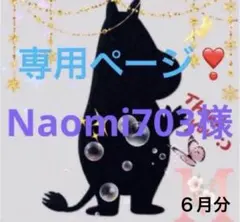 専用ページ　　Naomi703様　無害シリコンモールド