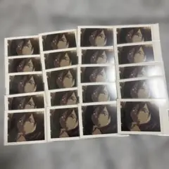 ミカサ　ぱしゃこれ　マフラー　20枚