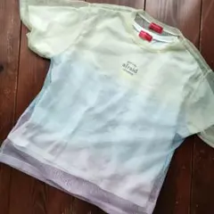 グラデーション メッシュ Tシャツ