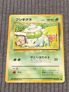 2026年最新】やどりぎのタネの人気アイテム - メルカリ