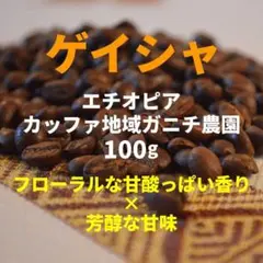 エチオピア ゲイシャ ガニチ農園 自家焙煎コーヒー豆 100g