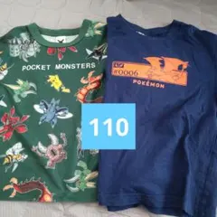 Item thumbnail for item 3064a343-62b2-41e4-9dd5-a779afcf2610