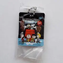 PEANUTS ビスケットミニチュアチャーム スヌーピー