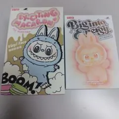 Macaron Energy ラブブ セット販売