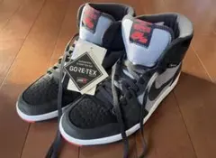 エアジョーダン1 エレメント ゴアテックス28.5cm