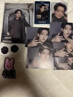 stray kidsチャンビンシーグリ封入フォトカードステッカーセット