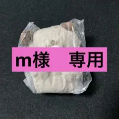 ガチャ　むすっとちゃん　ぬいぐるみ 2個と 何かお料理マスコットの3個セット