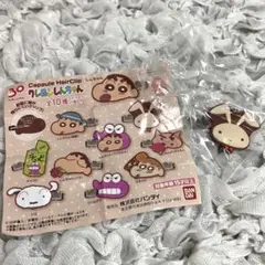 【クレヨンしんちゃん】ヘアピン♡