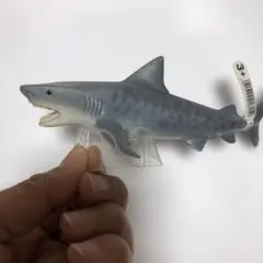 サメのフィギュア 12cm 3歳以上