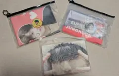 BTS ジョングク マスター フォトブック うちわ カプホル スローガン