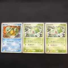 ポケモンカード ゼニガメ フシギダネ 3枚セット