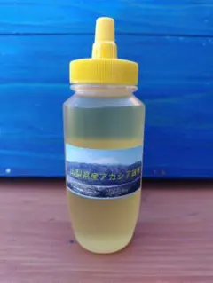 山梨県産 アカシア蜂蜜 300g（トンガリ容器）1本入り2026年5月採りのサムネイル