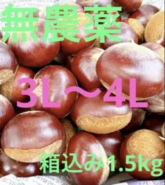 2025年最新】生栗の人気アイテム - メルカリ