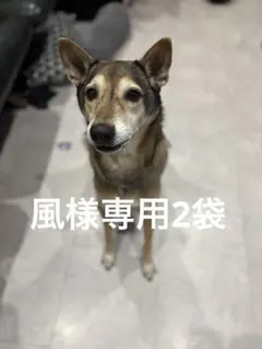 風様専用2袋牛タンジャーキー