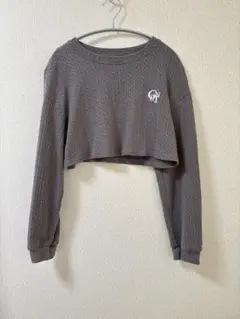 Dazy グレー クロップド丈 トップス S