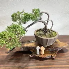 2025年最新】華道 花台の人気アイテム - メルカリ