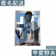 【匿名配送】西武ライオンズ グルメトレカ 甲斐野央