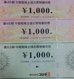 ビックカメラ　コジマ 株主優待券 　合計3,000円分