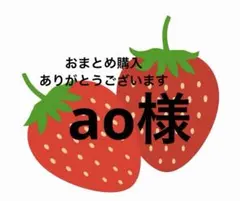 ao様 リクエスト 2点 まとめ商品