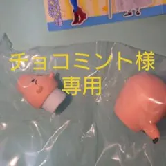 チョコミント様用