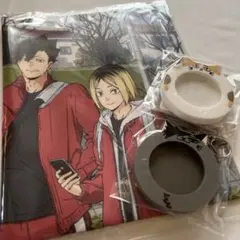 ハイキューゴミ捨て場の決戦 タペストリー、缶バッジホルダー