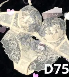 D75 ノーブルビューティーローズ育乳脇高ブラジャー&透けフルバックショーツ