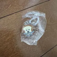 パンどろぼう めじるしアクセサリー3 おもいついたぞ ガチャのサムネイル