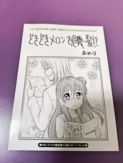 レア品 サナララR 設定ラフ小冊子 蒼樹うめ 藤宮アプリ コミケ - メルカリ