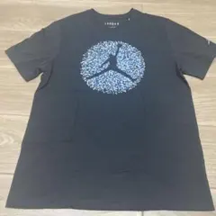 【新品未使用】NIKE AIR JORDAN ショートスリーブT メンズL