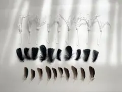 Item thumbnail for item bf7c292e-3364-4335-9bbb-340b69abc804