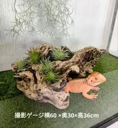 HAL様 リクエスト 2点 まとめ商品