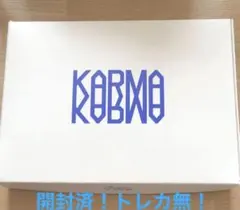 straykids スキズ　アルバム　karma 通常盤　開封済み