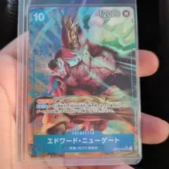 ワンピースカード エドワード・ニューゲート srパラレル