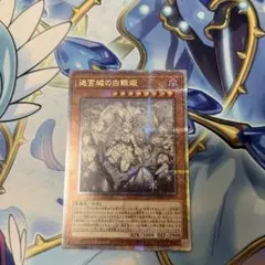 うーたん＊様 リクエスト 2点 まとめ商品