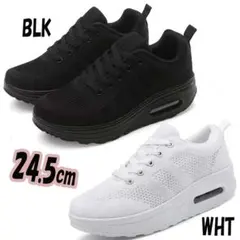 Item thumbnail for item c74b3e7c-cdbc-4615-bbfb-e985afb697ed