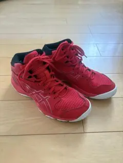 アシックス ダンクショット 23cm