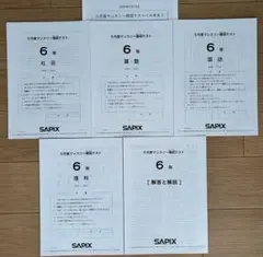 専用★良いもの掘り出し中様★SAPIX　5年　6年　マンスリーテスト 原本 SAPIX サピックス6年 2025年5月度 マンスリー確認テスト 原本 - メルカリ