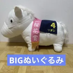 ソダシ BIGぬいぐるみ 第81回桜花賞 優勝記念 - メルカリ