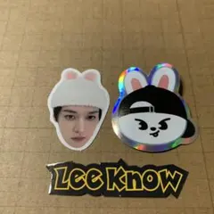 straykids リノ フレークシール
